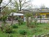 Frueh073big.jpg