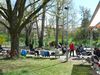 Frueh080big.jpg