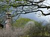 Frueh089big.jpg