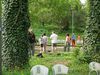 Frueh016big.jpg