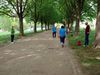 Frueh069big.jpg