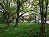 Frueh077big.jpg