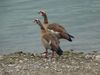 2022Herbst057big.jpg