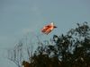 2023Herbst094big.jpg