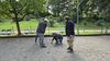 Herbst033big.jpg