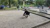 Herbst044big.jpg