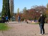 Jubi032big.jpg