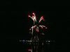 Nocturne2023-052big.jpg