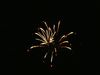 Nocturne2023-053big.jpg