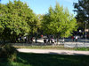 50Turnier015big.jpg