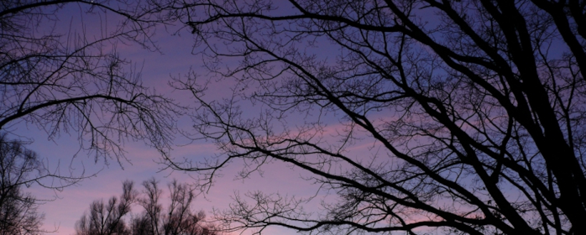 Abendhimmel überm Seepark